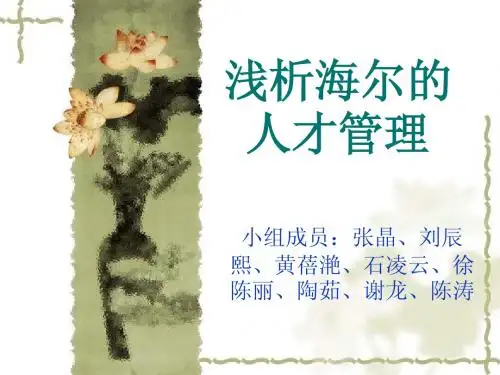 海尔科技人才战略简介