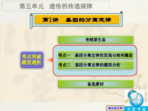 【高考领航】2016届高三生物大一轮复习课件 第五单元 第1讲 基因的分离定律