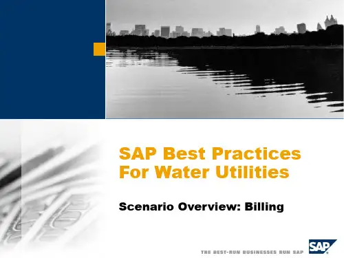 IBM-新奥燃气控股集团—04_Billing_scen_overview_en_us