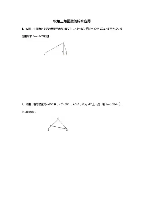 锐角三角函数的综合应用