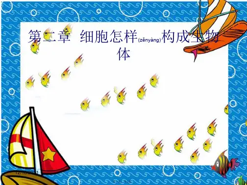 七年级生物上册 2.2细胞怎样构成生物体提纲