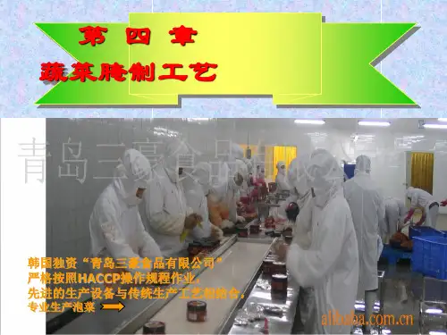 四章蔬菜腌制工艺