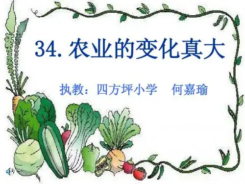 34_农业的变化真大课件.ppt