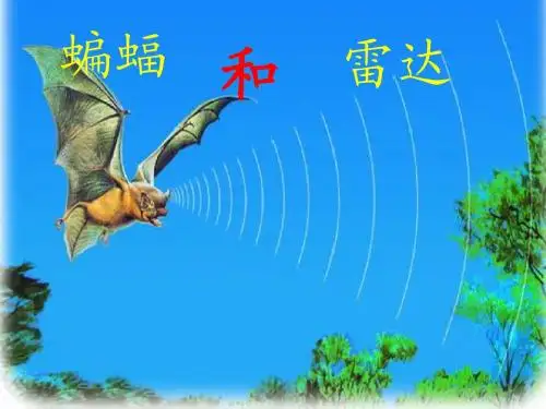 蝙蝠和雷达经典版