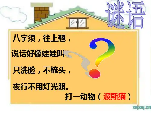 语文S版二年级下册《找不到快乐的波斯猫》课件