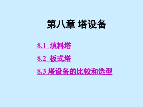塔设备的比较和选型PPT课件