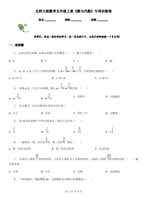 北师大版数学五年级上册《数与代数》专项训练卷