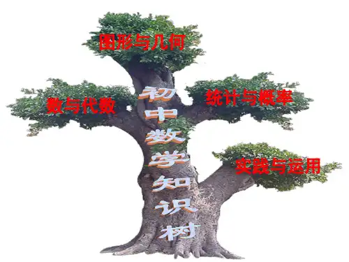 初中数学知识树