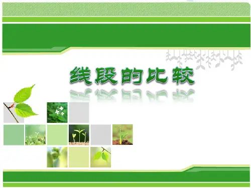 比较线段大小