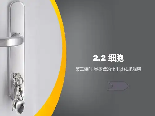 浙教版七级科学上册显微镜的使用PPT