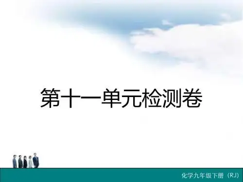人教版九年级化学下册 第十一单元检测卷