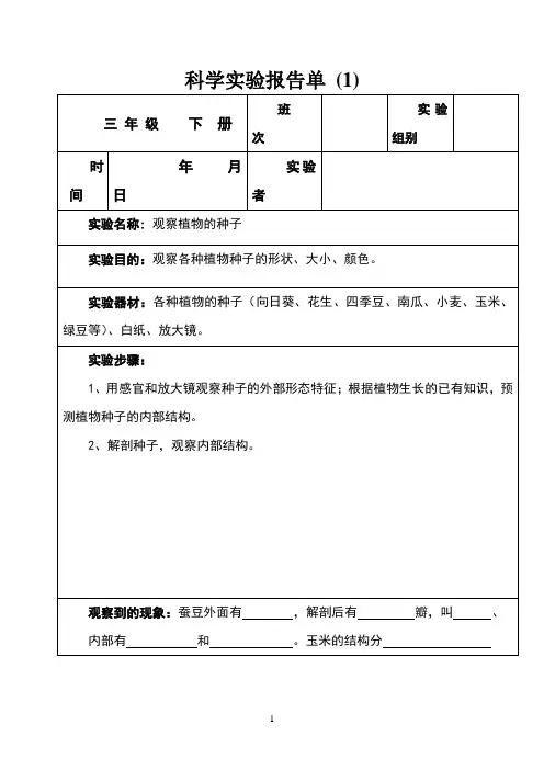 科学实验报告单