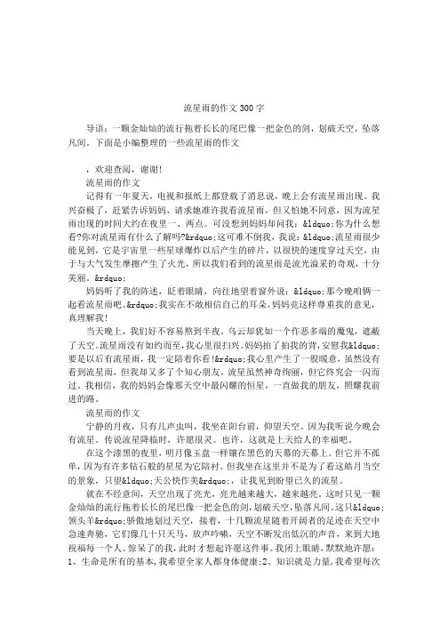 流星雨的作文300字