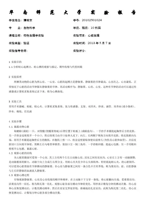 心脏生理——生理学实验报告