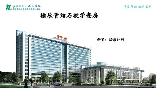 输尿管结石教学查房精品PPT课件