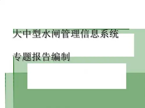 大中型水闸管理信息系统专题报告编制PPT(18张)