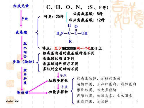 蛋白质计算问题归类