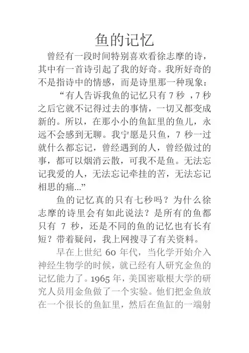 鱼的记忆
