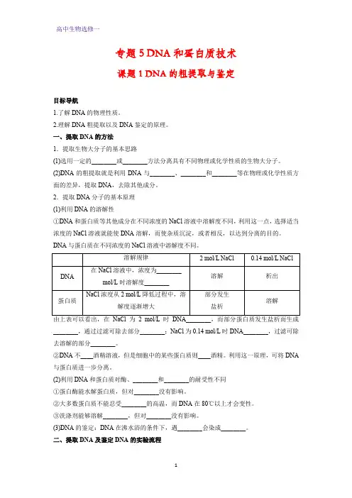 高中生物选修1学案1：5.1 DNA的粗提取与鉴定