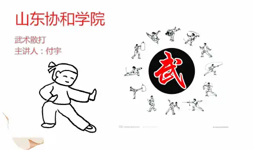 散打理论教案 教案课程PPT ppt