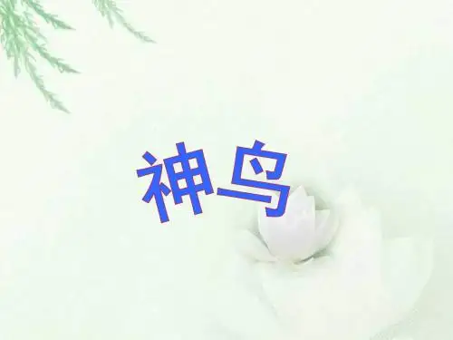 五年级下册《神鸟》