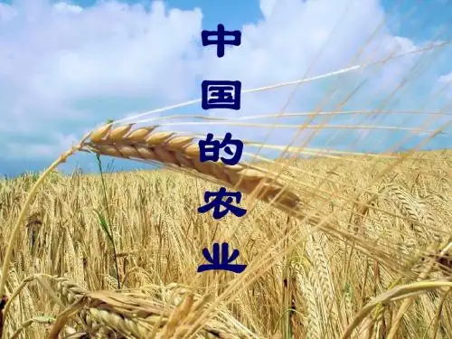 中国的农业