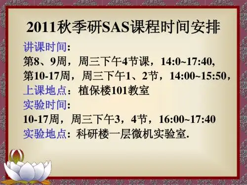1SAS系统入门-研