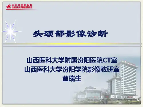 第七讲 鼻及鼻窦伴有骨质吸收破坏的病变