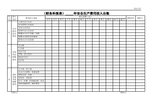 安全生产费用投入台账(模版报表) 2