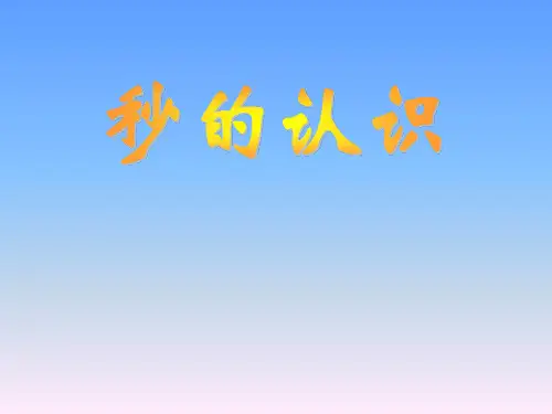 秒的认识