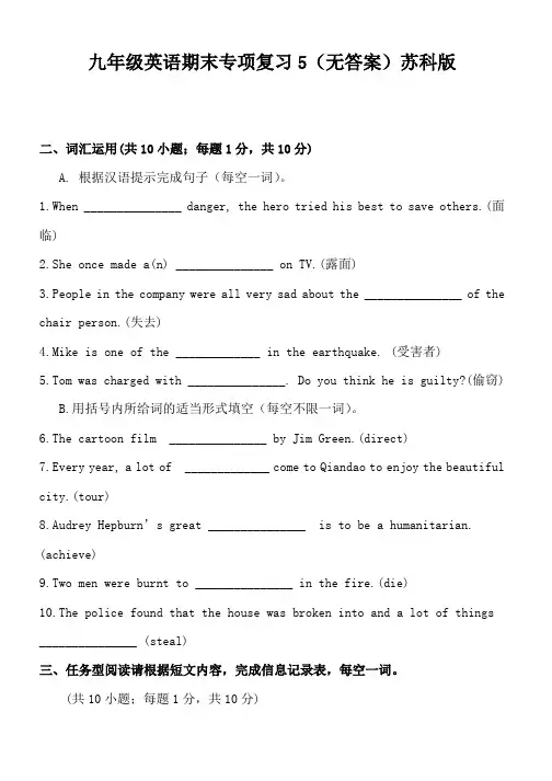 九年级英语期末专项复习5(无答案)苏科版