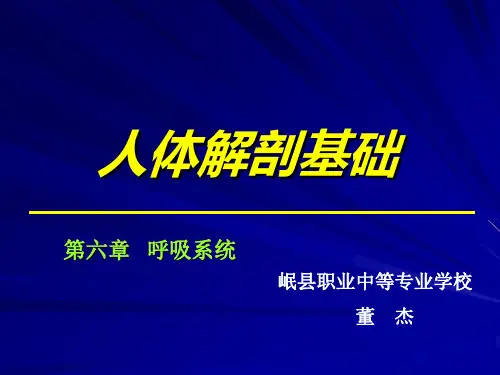 第六章_呼吸系统