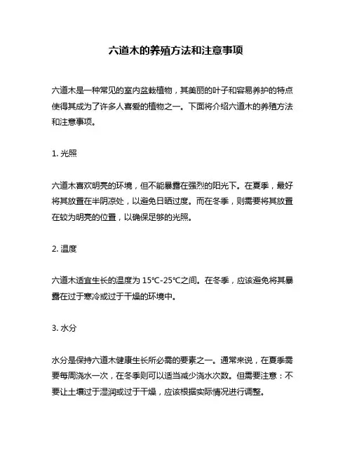 六道木的养殖方法和注意事项