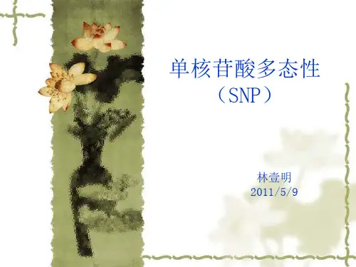 SNP检测方法xiangjie