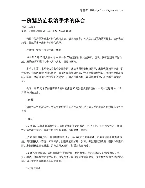 一例猪脐疝救治手术的体会