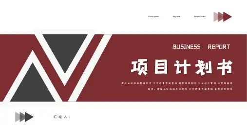 简约项目计划书PPT模板1