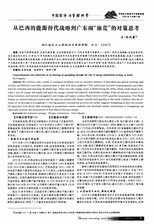 从巴西的能源替代战略到广东闹“油荒”的对策思考
