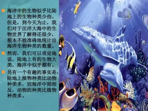 神奇的海底世界五年级