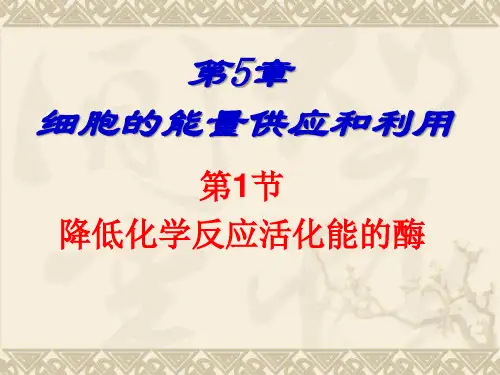 人教版生物必修一5.1《降低化学反应活化能的酶-酶的作用和本质》经典教学课件(共42张PPT)