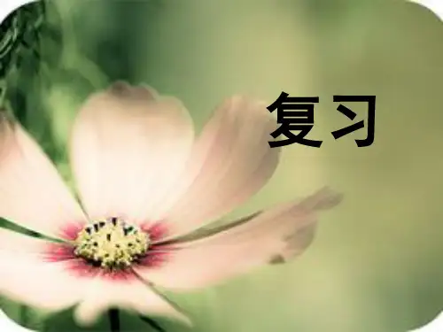 飘逸的南国风