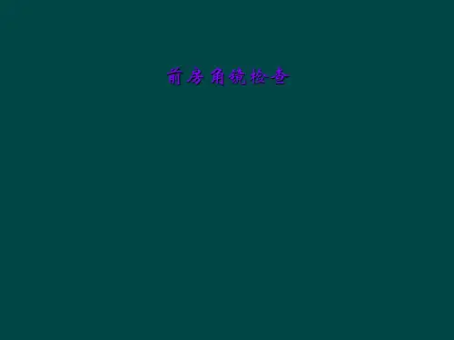 前房角镜检查