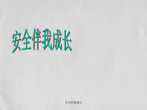 安全伴我成长