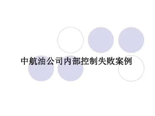 中航油内控失败案例分析剖析