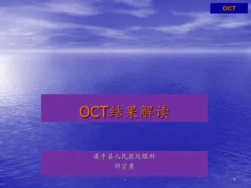 OCT结果解读概述ppt课件