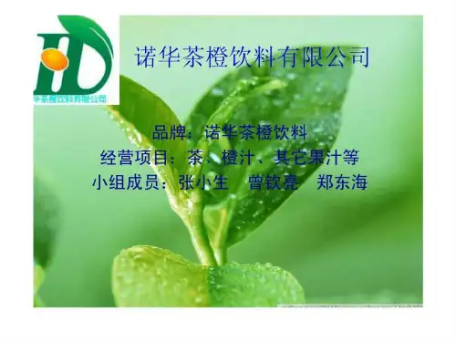 品牌管理 品牌策划 诺华茶橙饮料.ppt