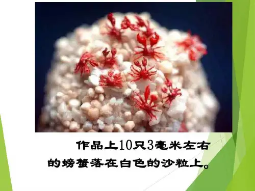 部编教材定稿《核舟记》优秀教案公开课一等奖共63页