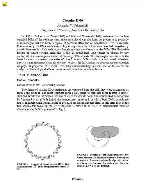 Circular DNA