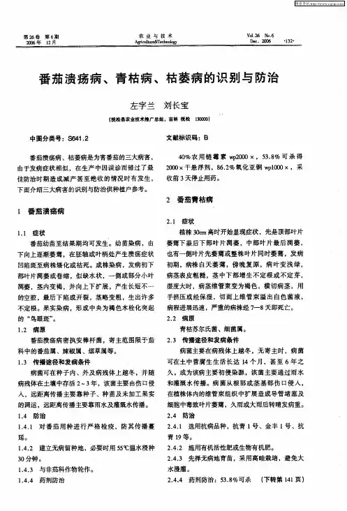 番茄溃疡病、青枯病、枯萎病的识别与防治