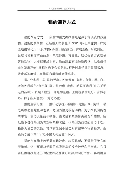 猫的饲养方式
