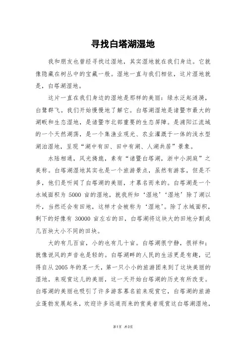 寻找白塔湖湿地_高二作文